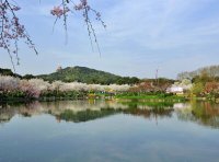 《绿色产品认证实施规则》—太阳能热水系统（文件下载）