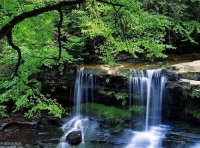 《专利领域严重失信联合惩戒对象名单管理办法（试行）》国知发保字〔2019〕52号