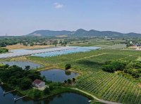 SA8000社会责任标准认证审核内容纲要