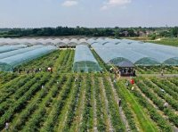 《土壤污染防治资金管理办法》财资环〔2021〕42号