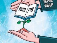 《关于加强协作配合强化知识产权保护的意见》(国知发保字〔2021〕12号)