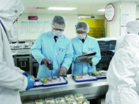 ISO22000（食品安全管理体系）与HACCP（危害分析关键控制点）的差异