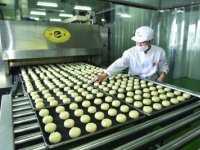 HACCP体系在食品工业产业链中“危害分析关键控制点”的主控方向