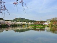 《绿色产品认证实施规则》—太阳能热水系统(文件下载)