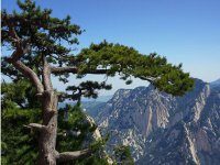 《绿色产品认证实施规则》—洗涤用品（文件下载）