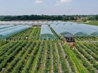 《土壤污染防治资金管理办法》财资环〔2021〕42号