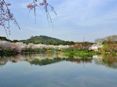 国家地理标志产品保护示范区建设管理办法（试行）