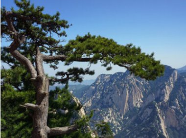 ISO27001:2005 信息安全管理体系-规范与使用指南