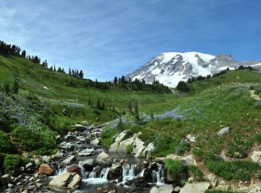 《关于进一步加强地理标志保护的指导意见》（国知发保字〔2021〕11号）