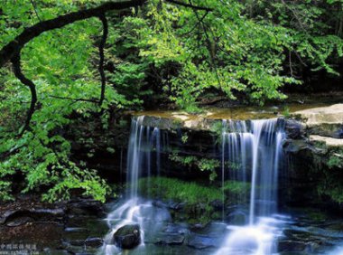 《绿色产品认证实施规则》—防水与密封材料(文件下载)