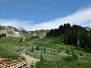 《国家地理标志产品保护示范区建设管理办法（试行）》官方解读