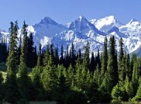 《中华人民共和国森林法实施条例》2018年3月第三次修订版