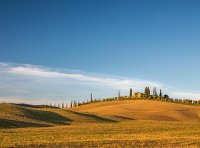 《绿色产品认证实施规则  陶瓷砖(板)》CNCA-CGP-09：2021