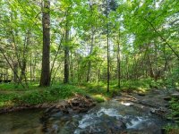 企业开展碳盘查/碳审计的步骤和流程