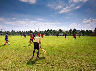 节能减排倡议书模板（城市、工厂、办公室、学校、家庭/社区）