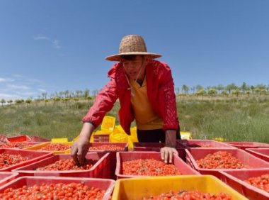 《关于组织开展地理标志助力乡村振兴行动的通知》国知发运字〔2021〕20号