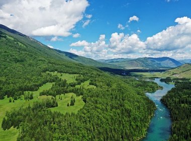 造纸业如何实现碳中和？ 专家称现有技术装备要有重大突破