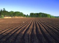 《关于确定2021年国家地理标志产品保护示范区筹建名单的通知》国知办函保字〔2021〕767号