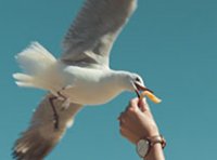 我们天真地认作过去那些东西,很可能是相当晚近的发明