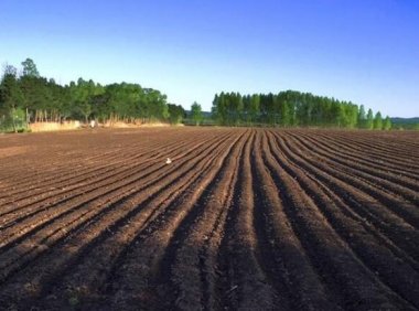 《关于确定2021年国家地理标志产品保护示范区筹建名单的通知》国知办函保字〔2021〕767号