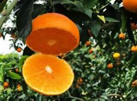 《绿色产品认证检查员注册准则》2021年修订版