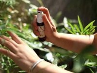 农业农村部办公厅 关于防蚊驱蚊类产品认定的意见