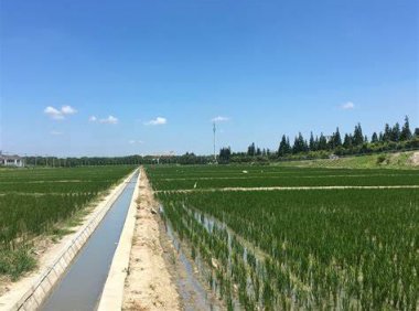 《“十四五”全国农业绿色发展规划》农规发〔2021〕8号