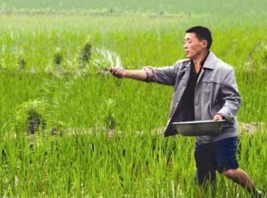 国家发展改革委等部门关于做好今后一段时间国内化肥保供稳价工作的通知