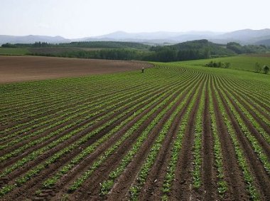 关于全国高标准农田建设规划（2021—2030年）的批复（国函〔2021〕86号）