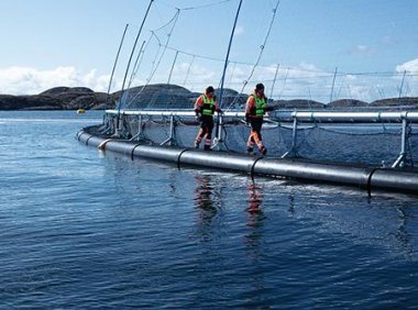 农业农村部办公厅关于做好2023年水产绿色健康养殖技术推广“五大行动”工作的通知（农办渔〔2023〕3号）