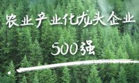 农业农村部关于促进农业产业化龙头企业做大做强的意见