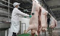 《生猪屠宰质量管理规范》自2024年1月1日起施行