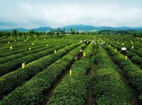 农业农村部办公厅关于推介全国农业社会化服务典型的通知