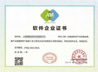 双软企业评估简介