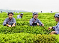 农业农村部、江西省联合印发方案部署共建江西绿色有机农产品基地试点省