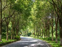 《2030年前碳达峰行动方案》国发〔2021〕23号