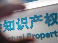 国家知识产权局关于“故意侵犯知识产权”认定标准有关事宜的批复