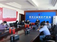 黑龙江省知识产权促进高质量发展企业奖补政策实施细则