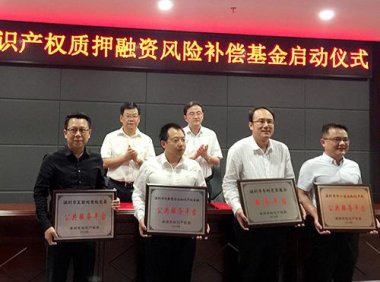 中关村知识产权质押融资成本分担和风险补偿机制的若干措施