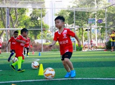 体育总局办公厅关于做好课外体育培训行业服务监管工作的通知