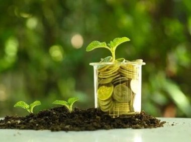 湖南省中小企业发展专项资金管理办法