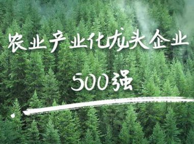 农业农村部关于促进农业产业化龙头企业做大做强的意见