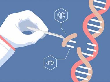 关于开展2021年度北京高精尖产业设计中心认定和复核工作的通知