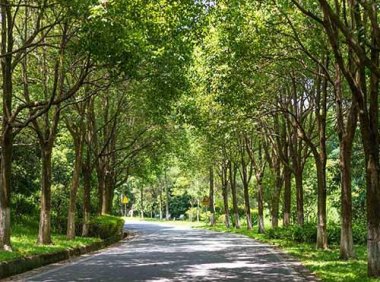 《2030年前碳达峰行动方案》国发〔2021〕23号