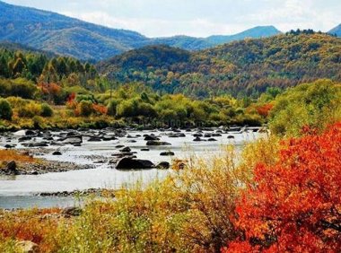 《国有林场管理办法》2021年修订版