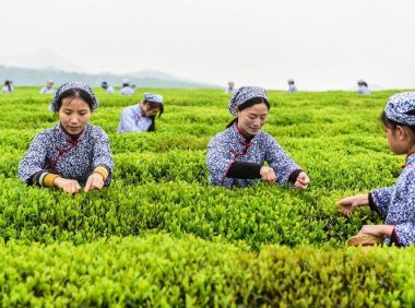 农业农村部、江西省联合印发方案部署共建江西绿色有机农产品基地试点省