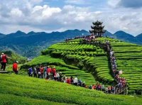 中共中央办公厅 国务院办公厅印发《乡村建设行动实施方案》