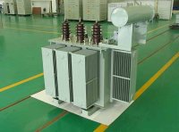 《电力变压器能源效率标识实施规则（CEL 020-2021）》2021年修订版