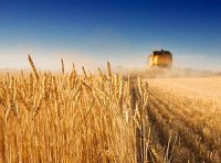 《粮食质量安全监管办法》自2023年10月1日起施行