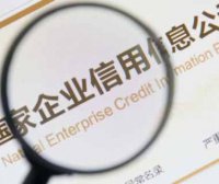 《全国公共信用信息基础目录（2024年版）》和《全国失信惩戒措施基础清单（2024年版）》发改财金规〔2024〕203号